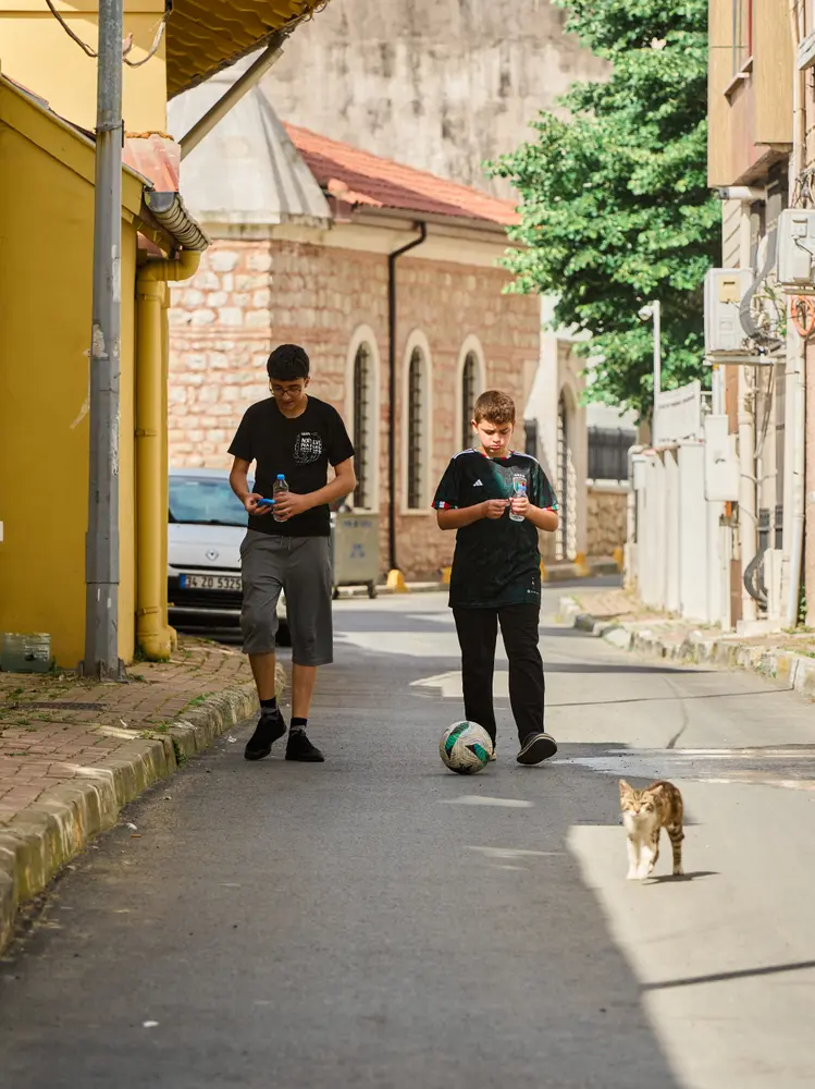2026-06-09_istanbul_street-cat-follows-men_dsc04560.jpg