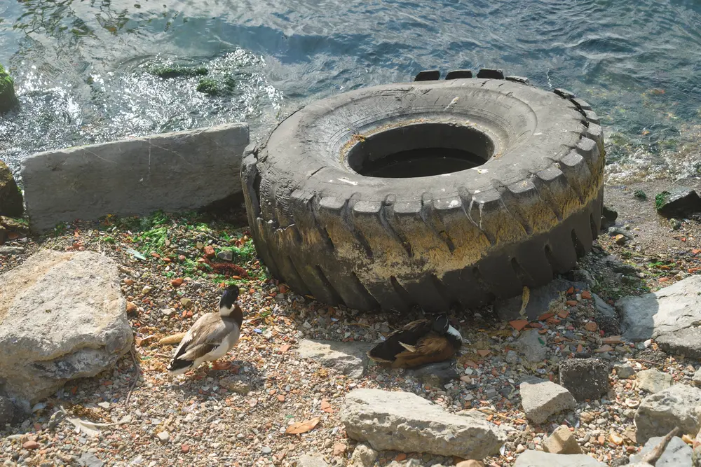 2026-06-06_istanbul_old-tire-on-shoreline_dsc02641.jpg