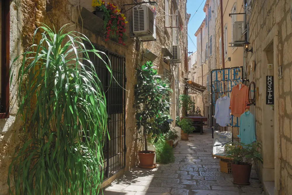 2026-06-14_korcula_plants-along-stone-alley_dsc06993.jpg