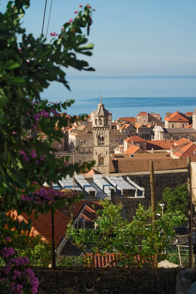 2026-06-10_dubrovnik_old-town-rooftops-bougainvillea_dsc04815.jpg