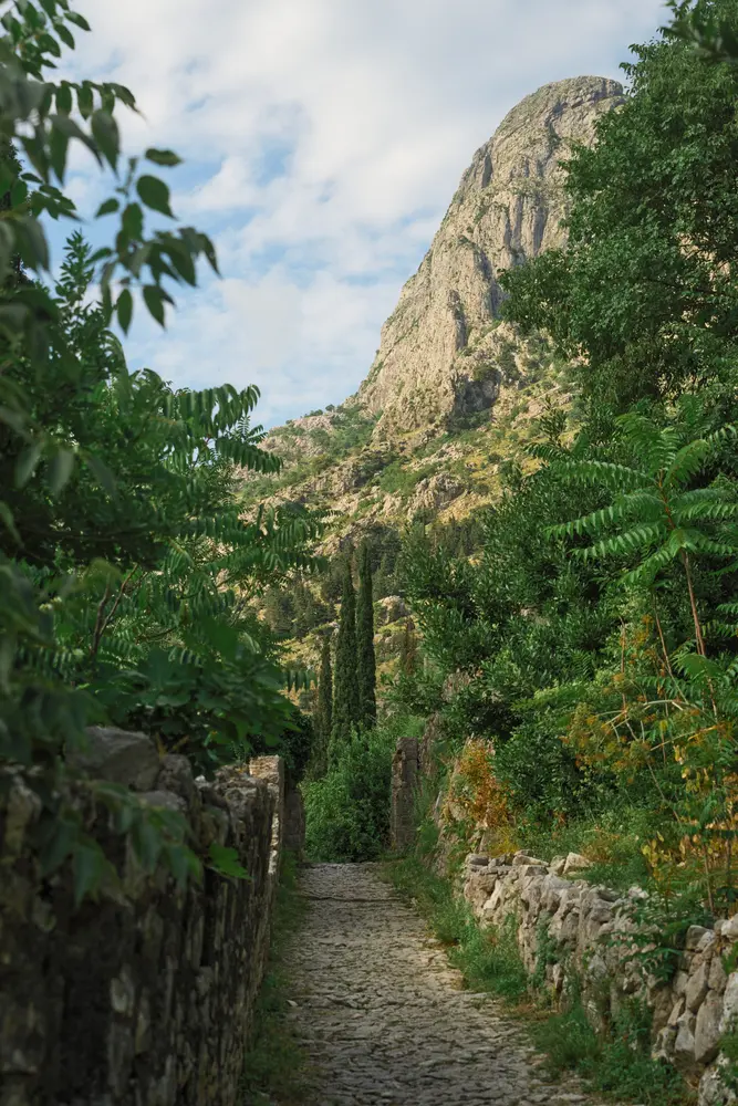 2026-06-11_kotor_fortress-trail-path_dsc05678.jpg