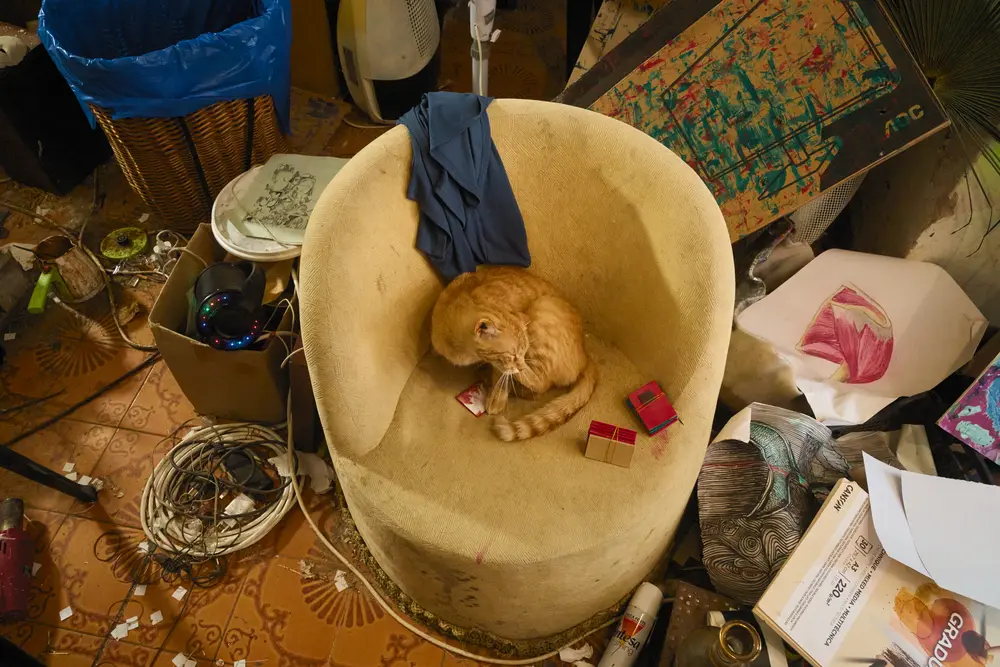 アトリエで眠る猫