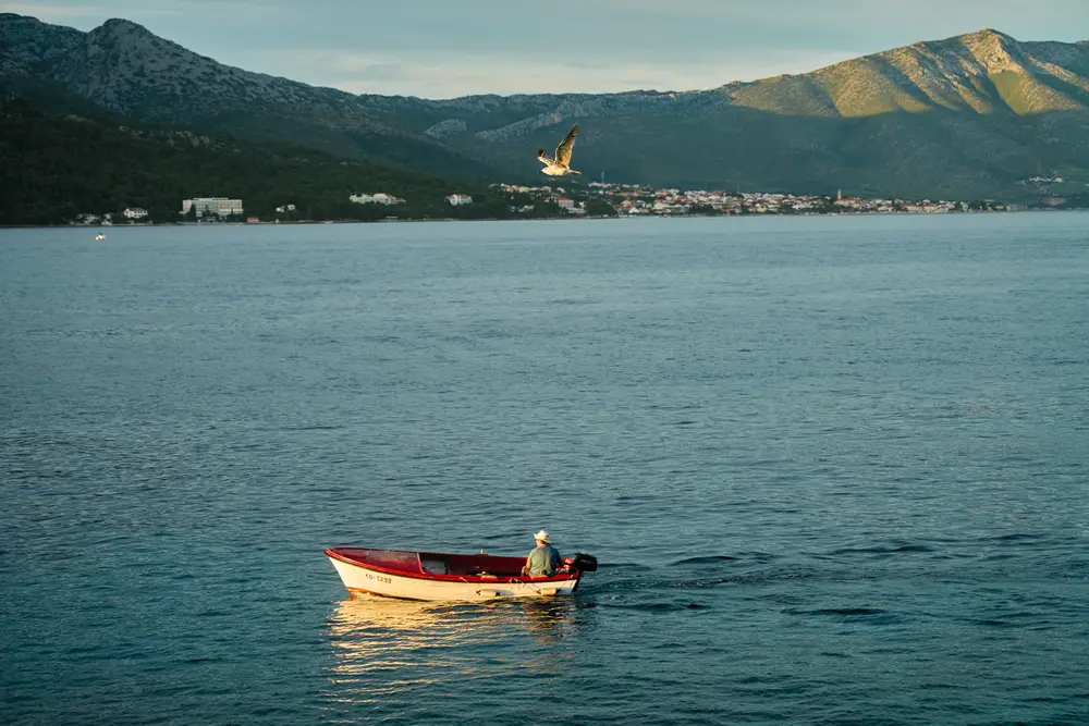 2026-06-14_korcula_boat-and-gull-at-dusk_dsc07205.jpg