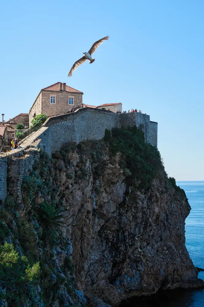 2026-06-10_dubrovnik_seagull-over-clifftop-fort_dsc04995.jpg