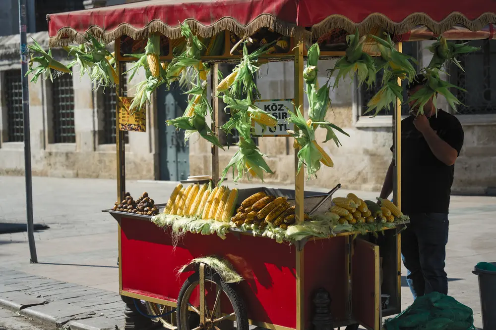 2026-06-06_istanbul_grilled-corn-cart_dsc03184.jpg