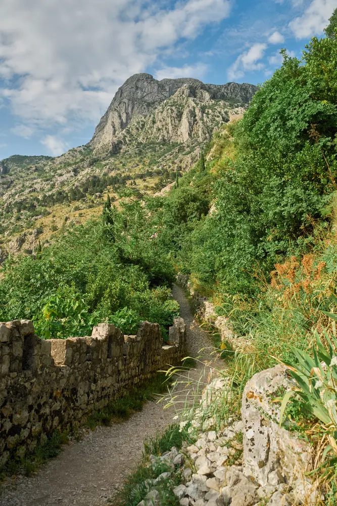 2026-06-11_kotor_fortress-trail-path_dsc05671.jpg
