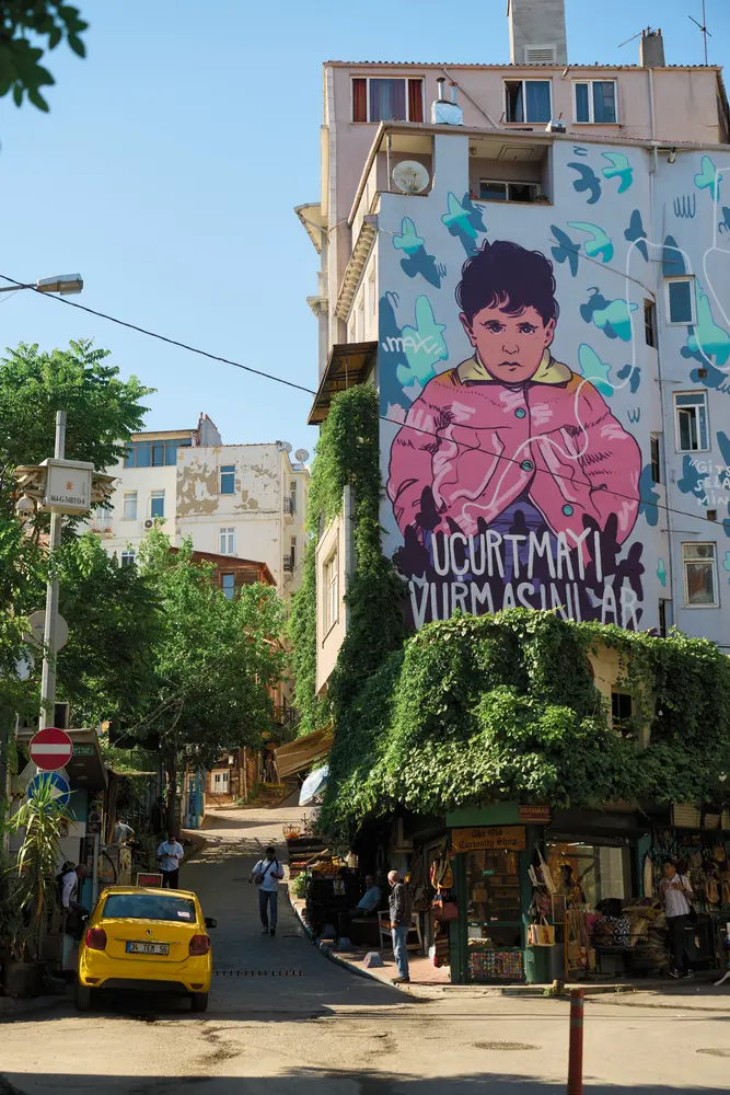 2026-06-08_istanbul_street-mural-hillside-lane_dsc04485.jpg