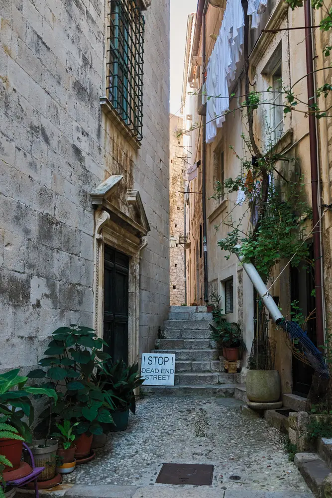 2026-06-10_dubrovnik_stepped-alley-plants_dsc04834.jpg