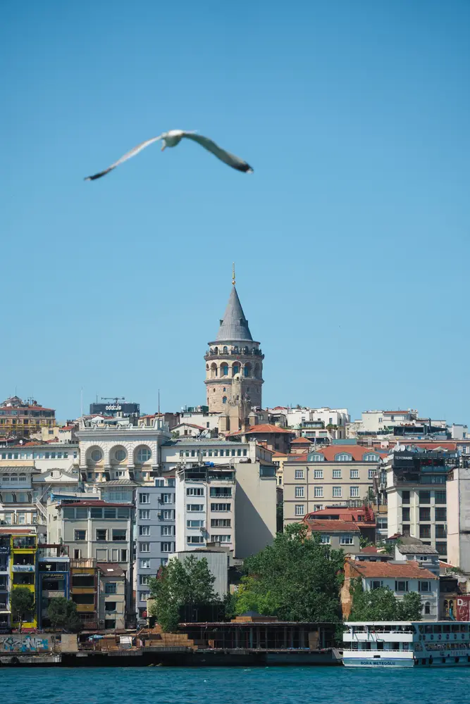 2026-06-06_istanbul_seagull-over-galata-tower_dsc03154.jpg