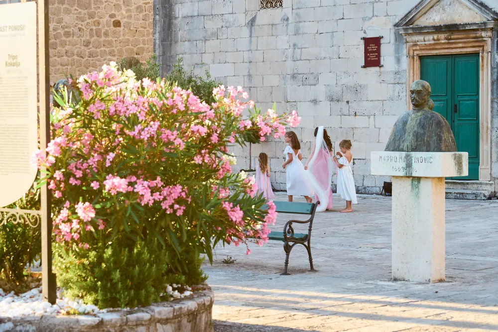 2026-06-12_perast_oleander-by-town-square_dsc06323.jpg