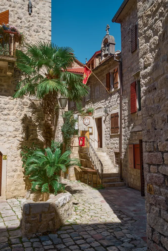 2026-06-12_kotor_alley-with-palm-tree_dsc05901.jpg