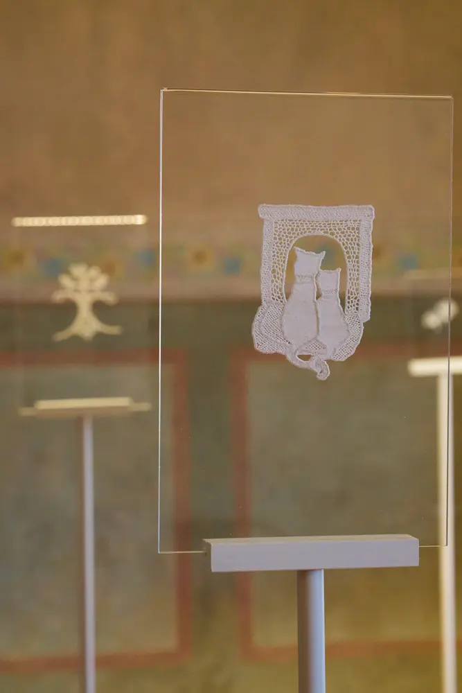 2026-06-12_kotor_glass-display-case_dsc05891.jpg